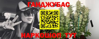 не бодяженный Гай
