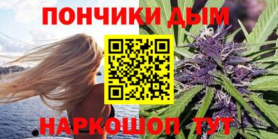 не бодяженный Гай