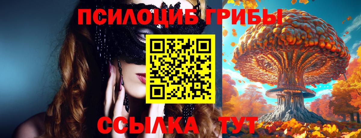 Псилоцибиновые грибы прущие грибы  хочу   Губкинский  Галлюциногенные грибы прущие грибы  Вход с VPN 